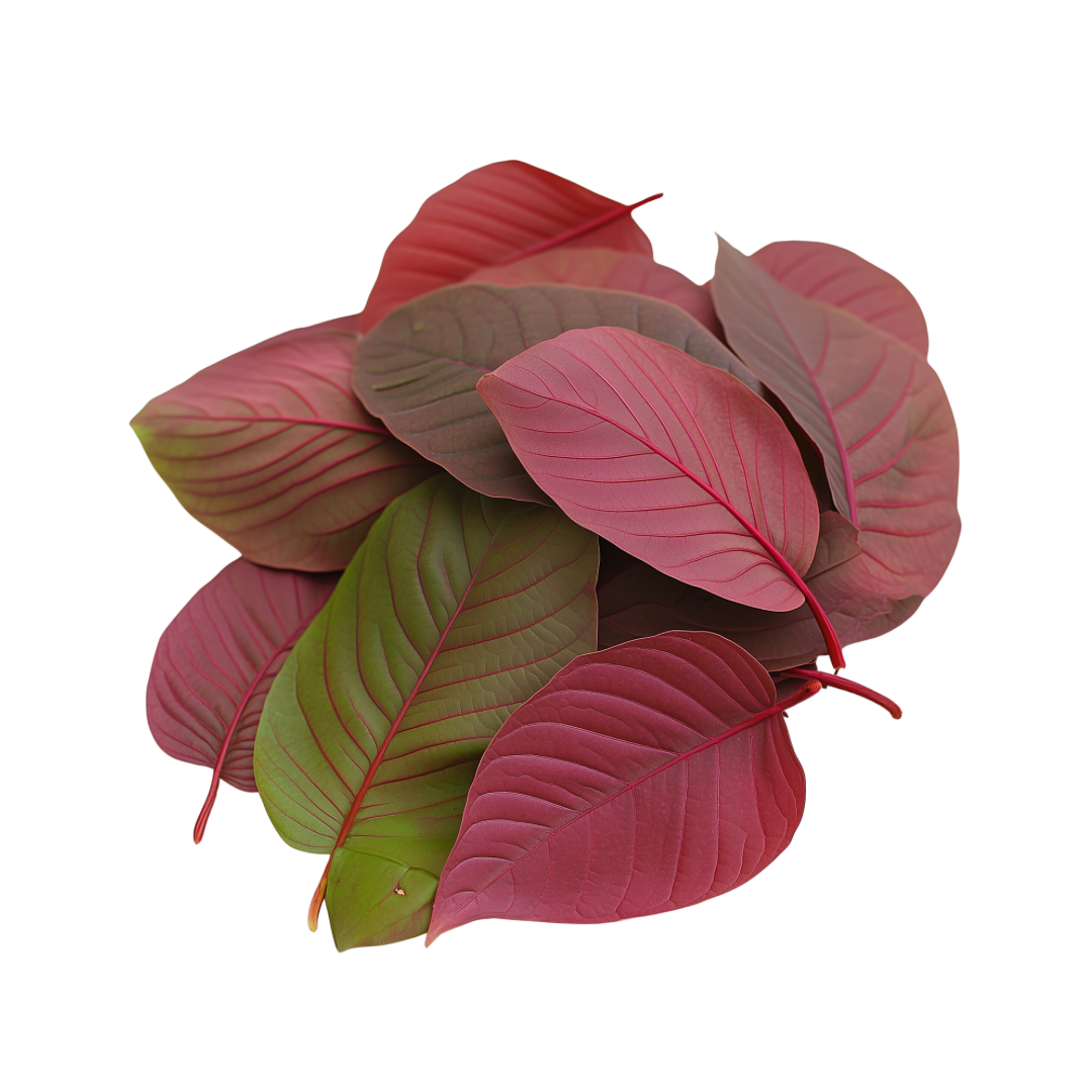 Red kratom leaves